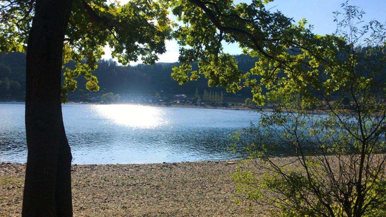 Schlossberg Apartments & Garten In Der Natur & Unweit Vom "Thueringer Meer" Unterwellenborn エクステリア 写真