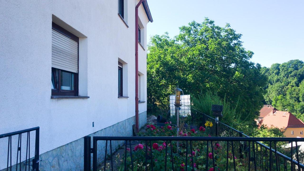Schlossberg Apartments & Garten In Der Natur & Unweit Vom "Thueringer Meer" Unterwellenborn エクステリア 写真